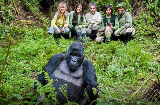 Gorilla Trekking in Rwanda