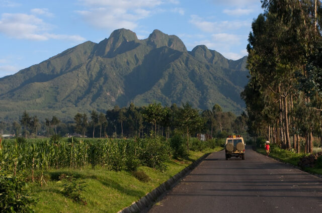 Rwanda Safari